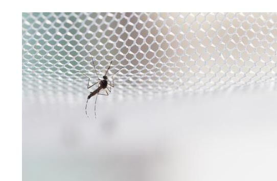 mosquito control methods