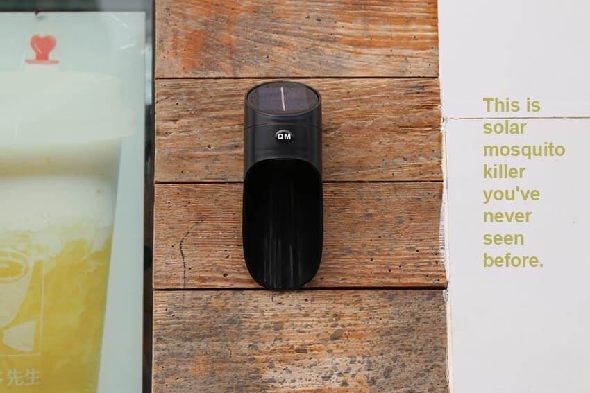 best outdoor insect killer