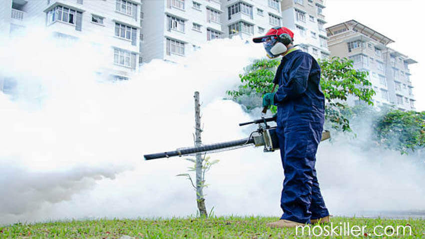Mosquito Fogging