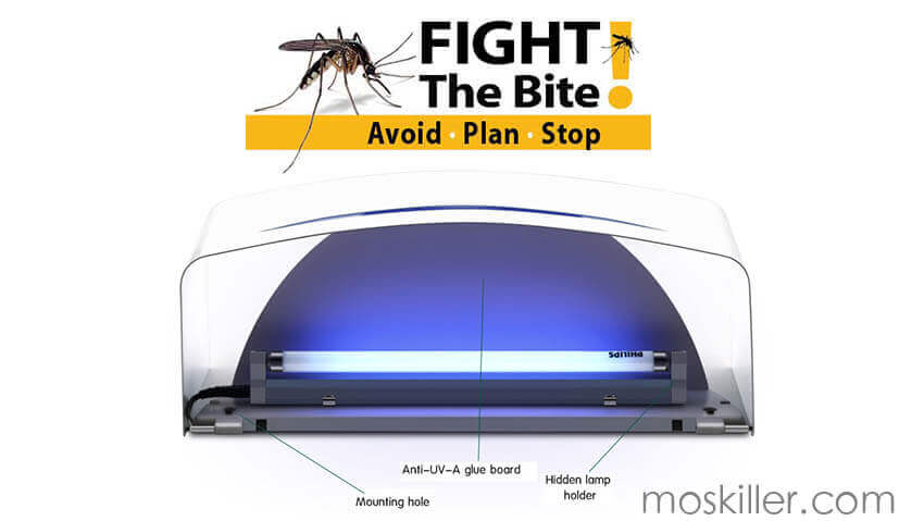 at home mosquito trap